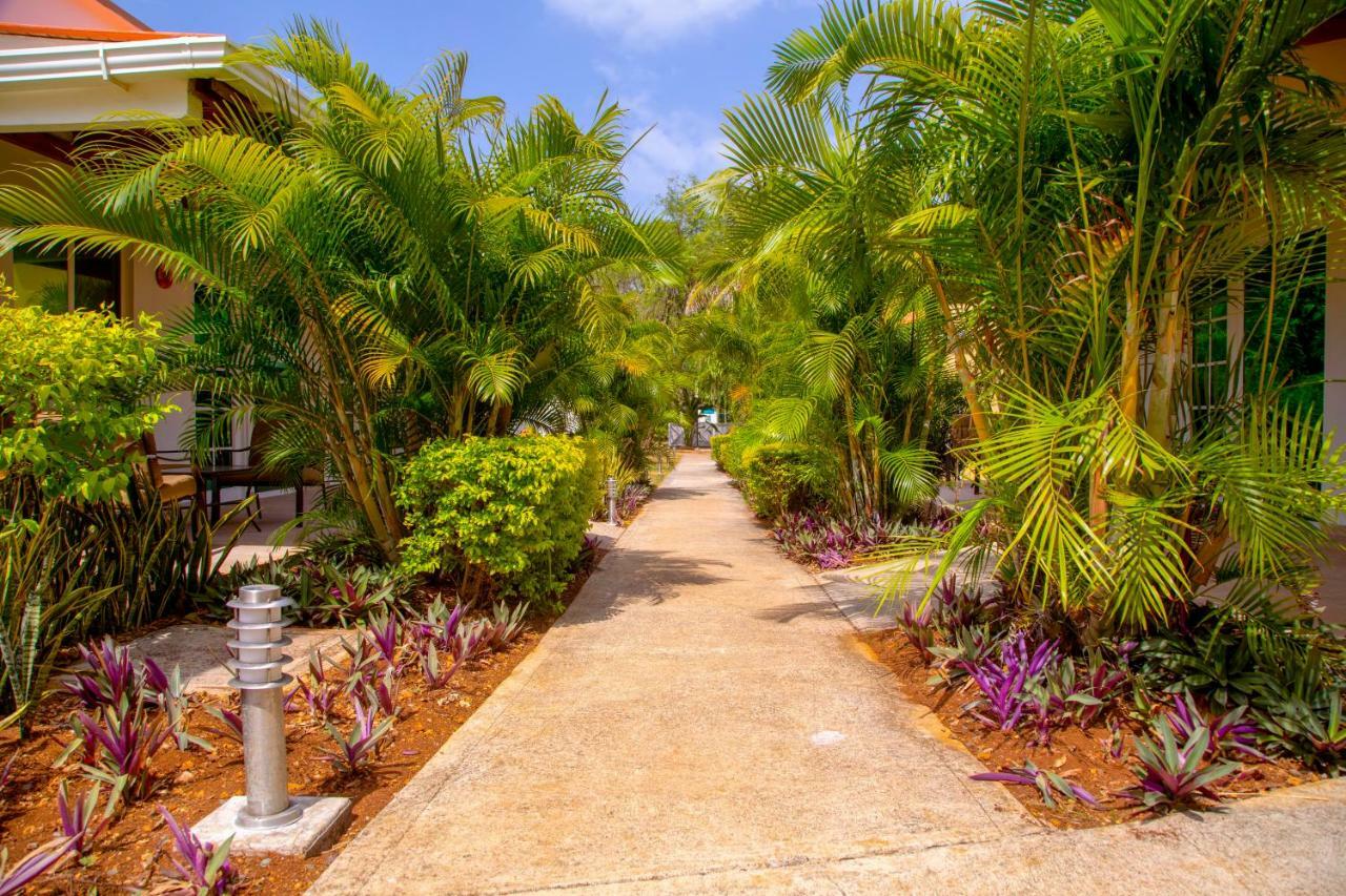 Solare Sai Ecohotel (Adults Only) San Andres  Ngoại thất bức ảnh